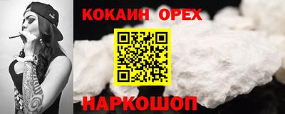 стаф Кузнецк