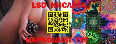 стаф Кузнецк