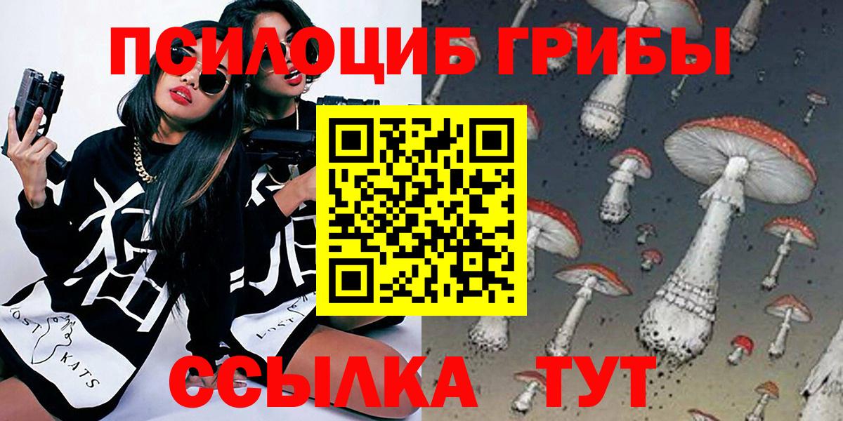Галлюциногенные грибы Psilocybine cubensis Каменка