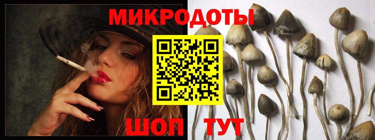 Галлюциногенные грибы MAGIC MUSHROOMS  Псилоцибиновые грибы Psilocybine cubensis  Каменка  Вход с VPN 
